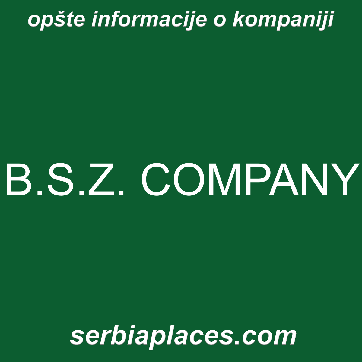 B.S.Z. COMPANY