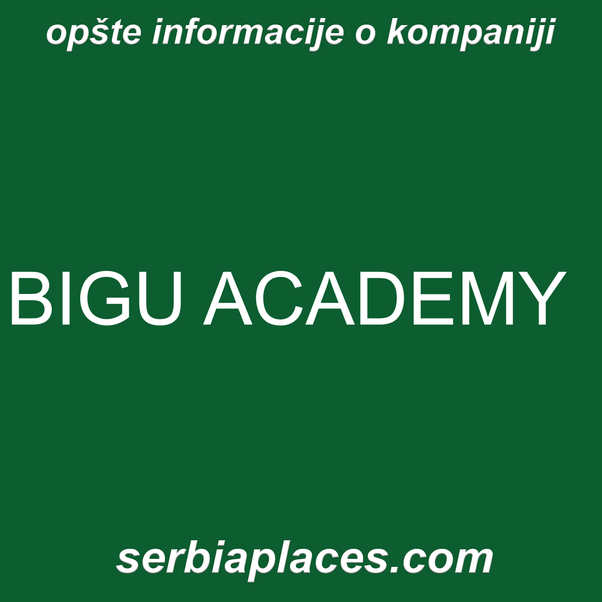 BIGU ACADEMY