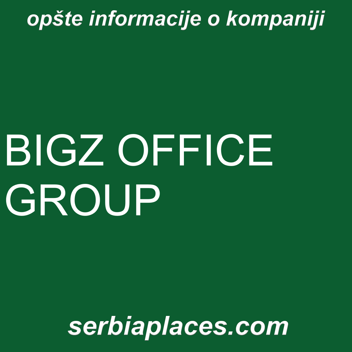 BIGZ OFFICE GROUP