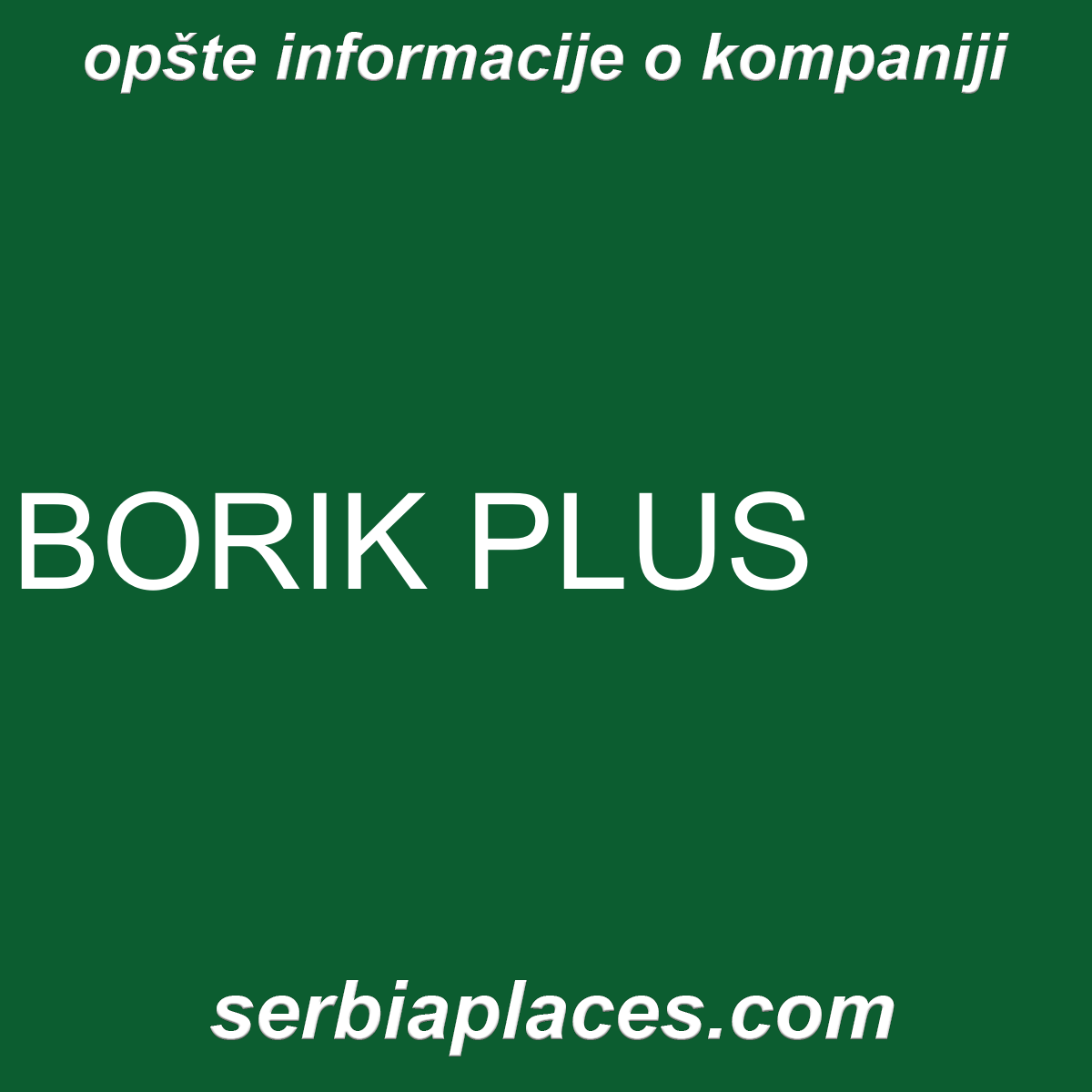 BORIK PLUS
