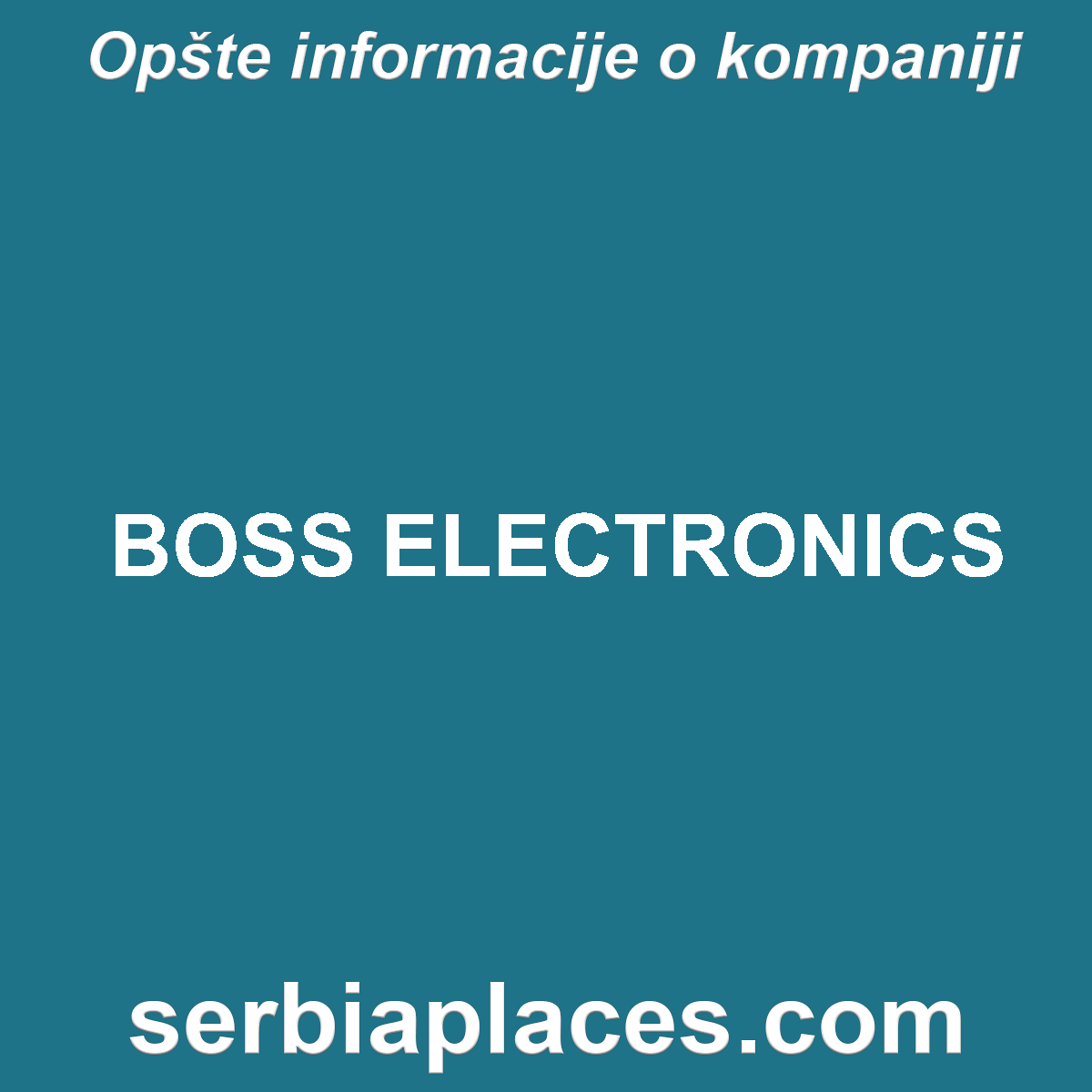BOSS ELECTRONICS
