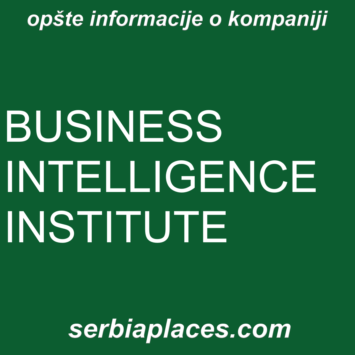 BUSINESS INTELLIGENCE INSTITUTE