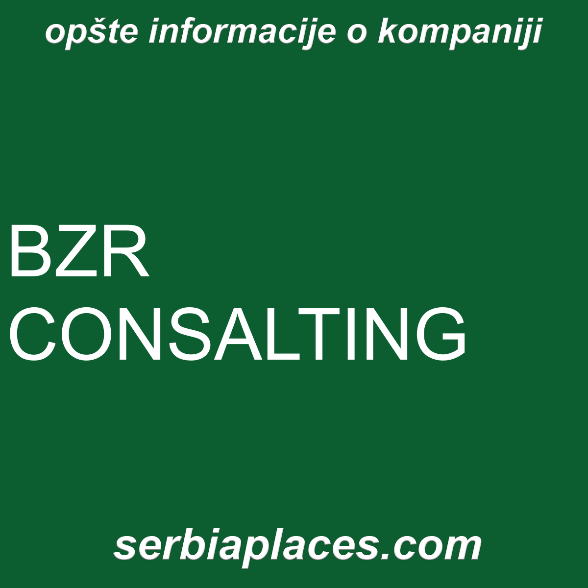 BZR CONSALTING