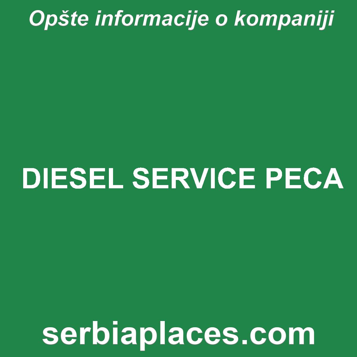 DIESEL SERVICE PECA