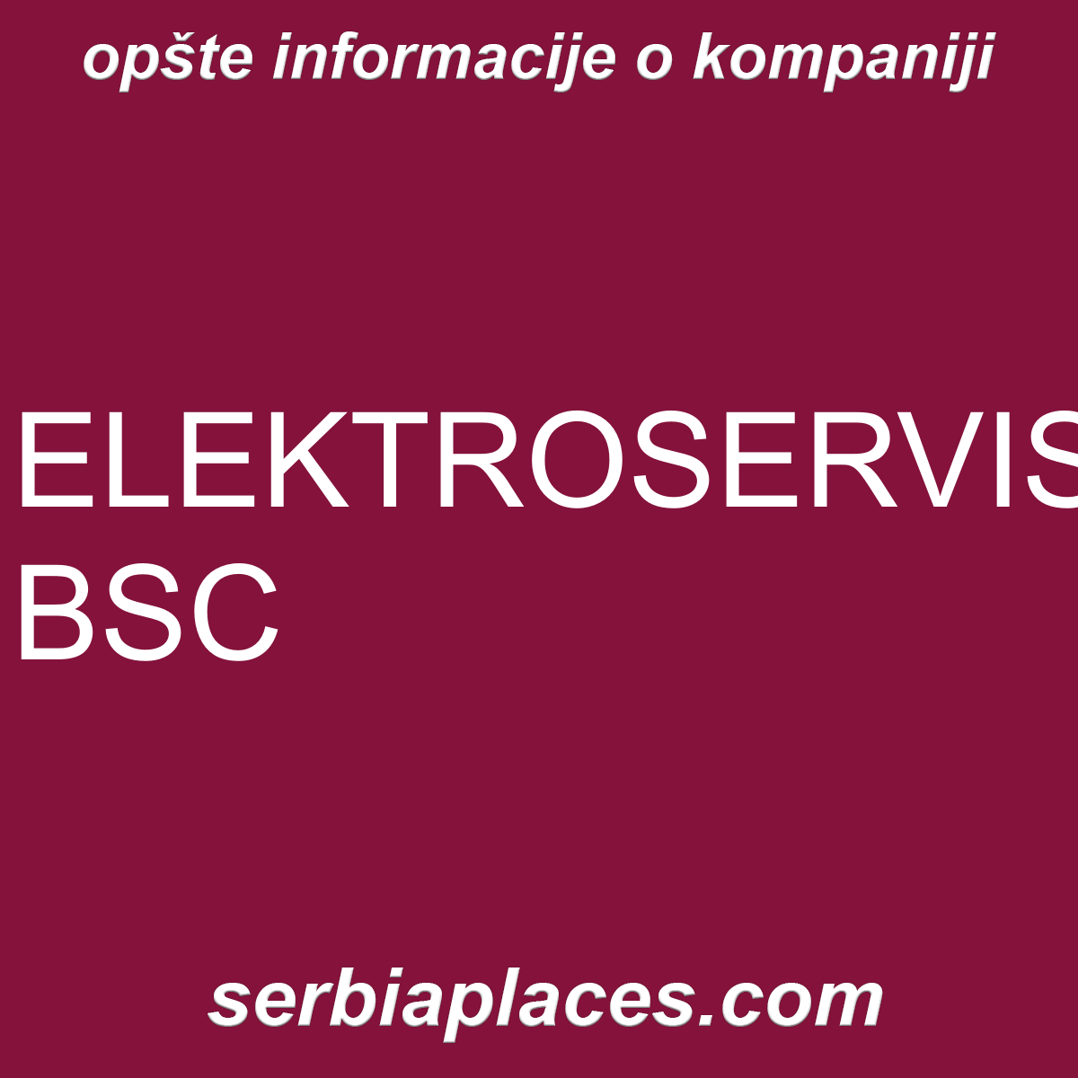 ELEKTROSERVIS BSC