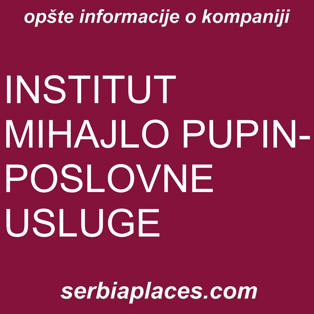 INSTITUT MIHAJLO PUPIN-POSLOVNE USLUGE