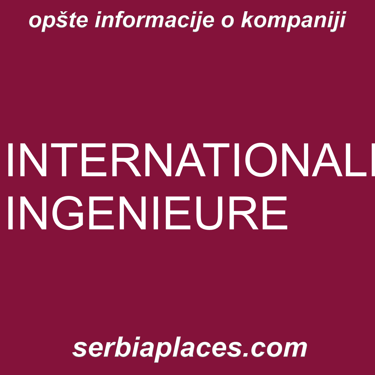 INTERNATIONALE INGENIEURE