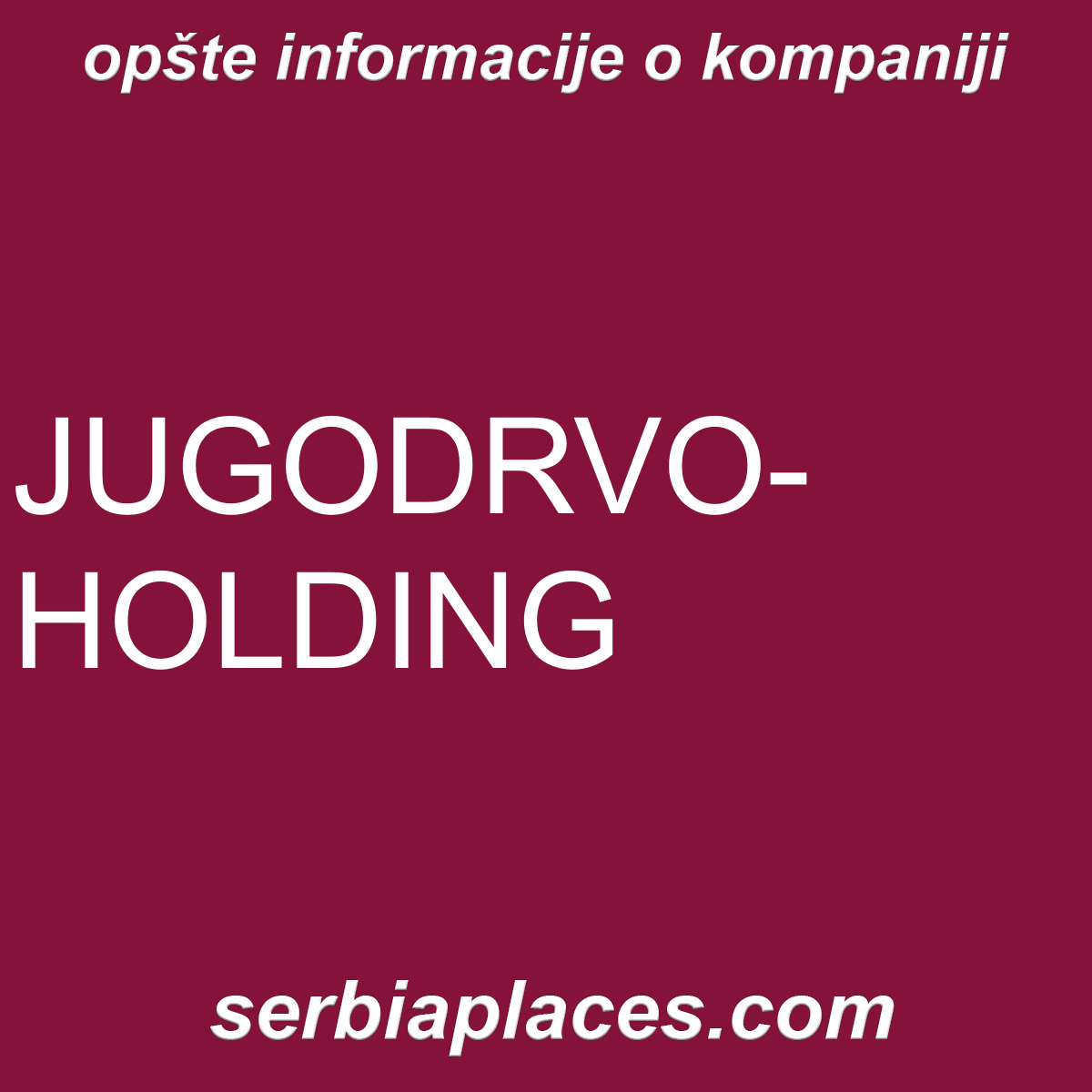 JUGODRVO-HOLDING