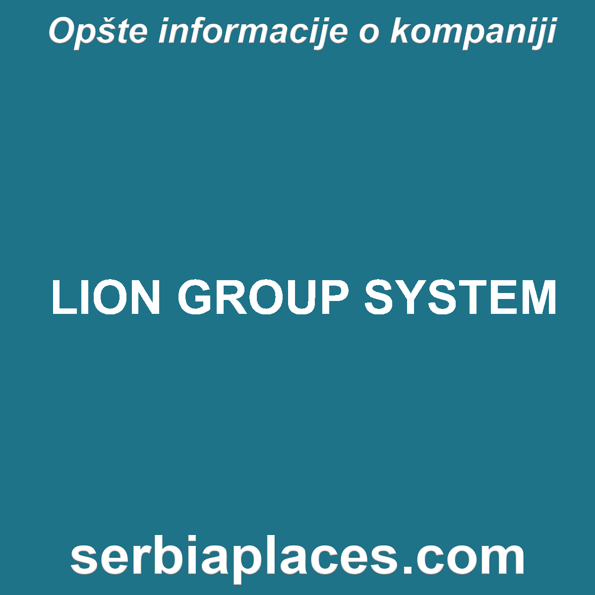 LION GROUP SYSTEM