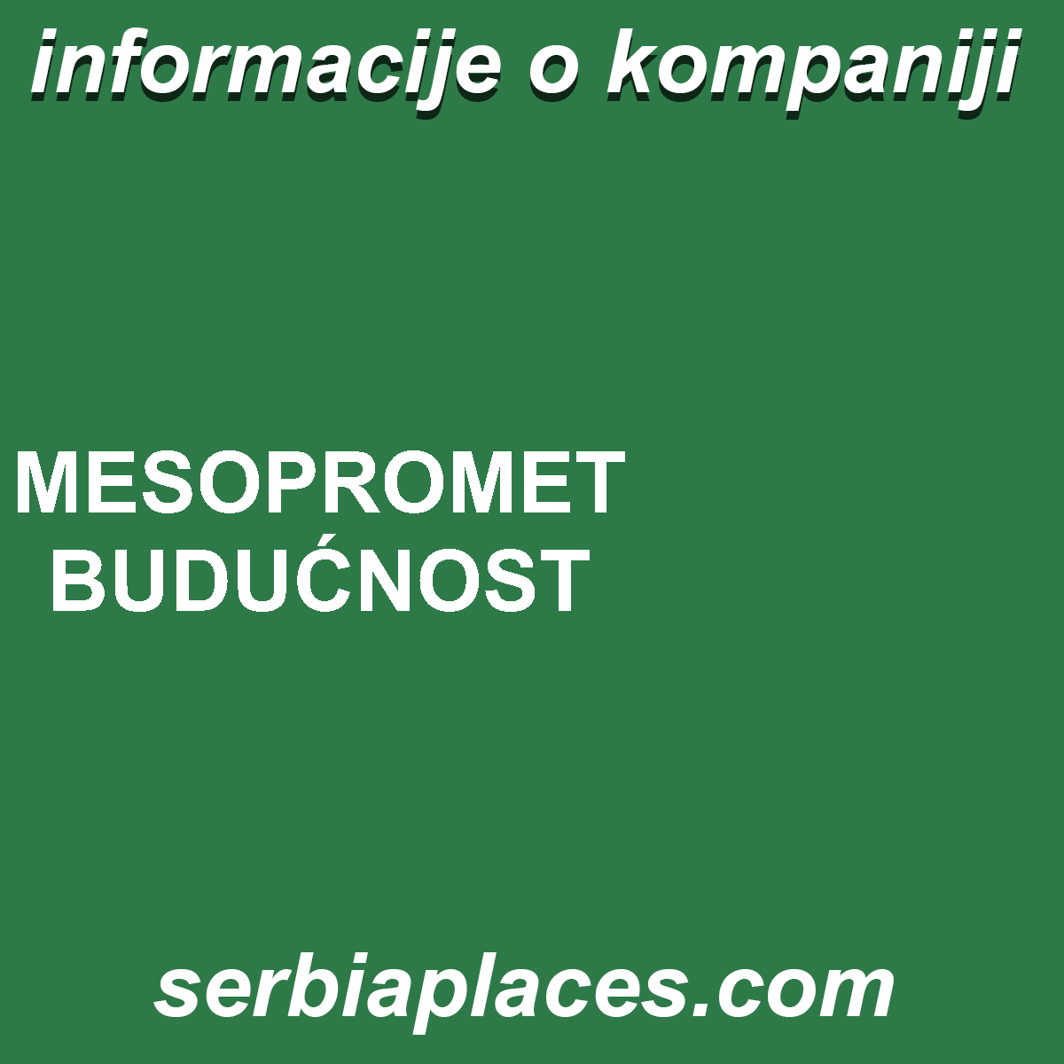MESOPROMET BUDUĆNOST