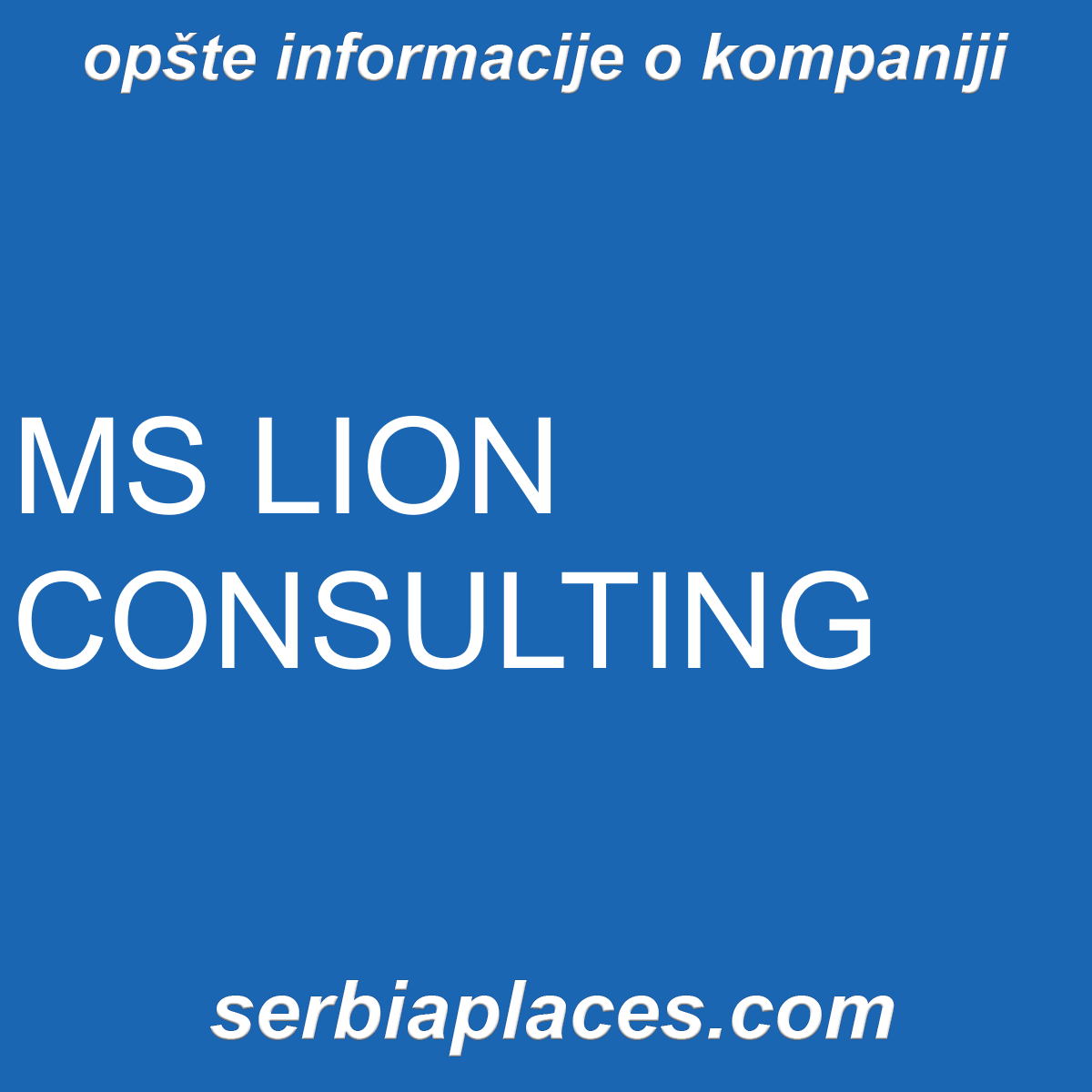 MS LION CONSULTING