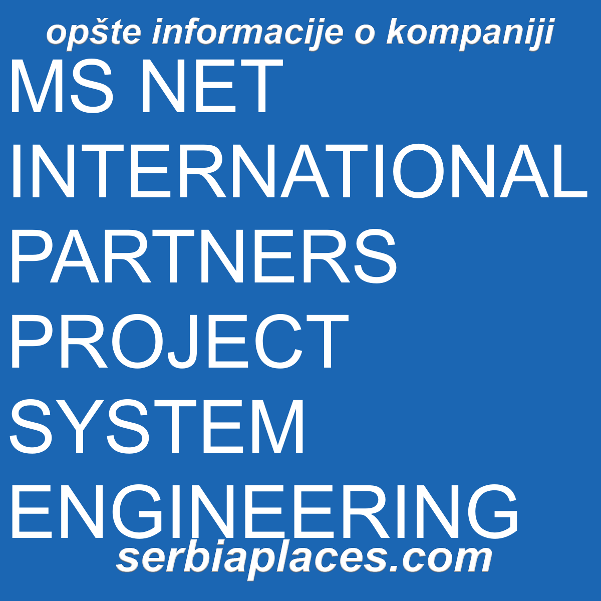 MS NET INTERNATIONAL PARTNERS PROJECT SYSTEM ENGINEERING