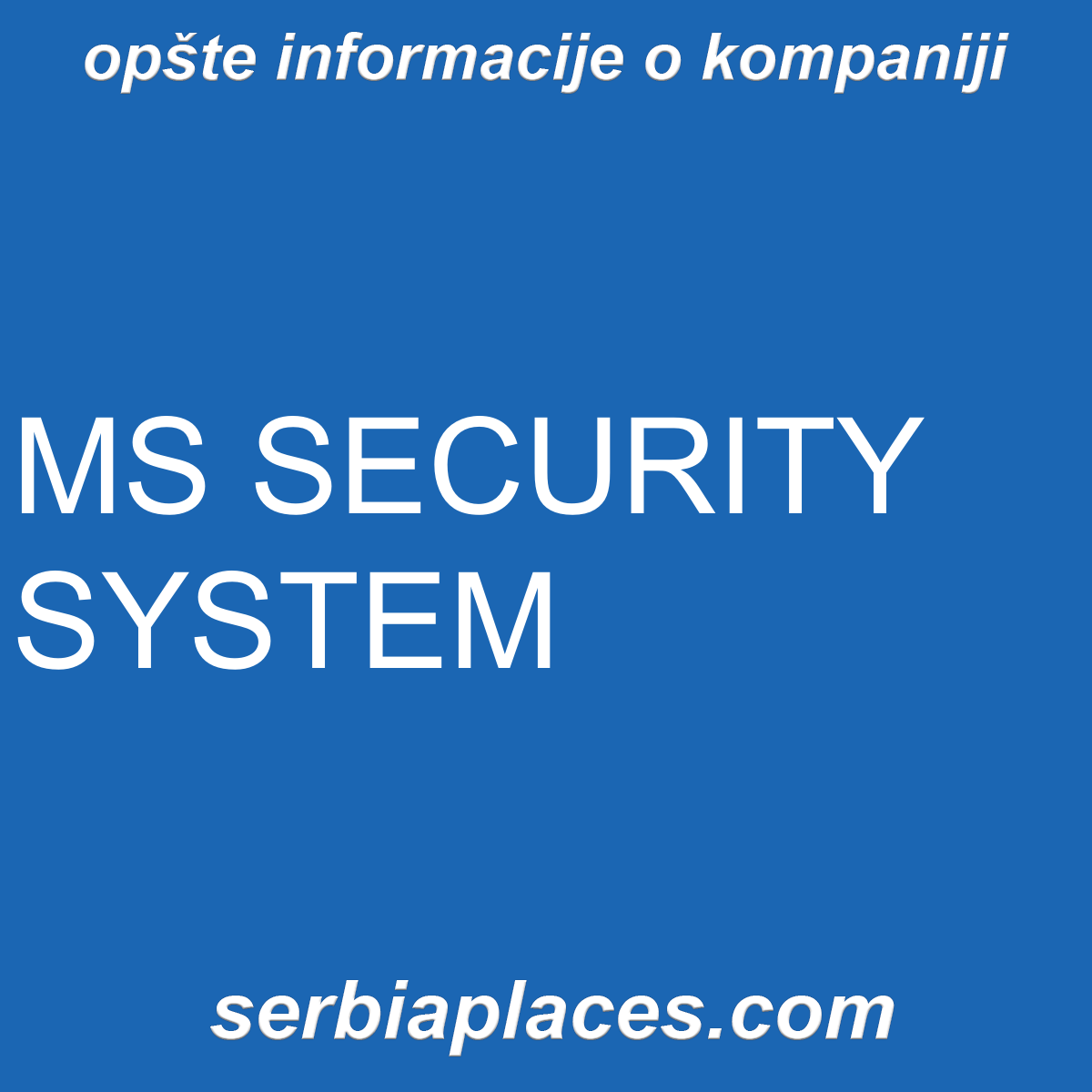 MS SECURITY SYSTEM