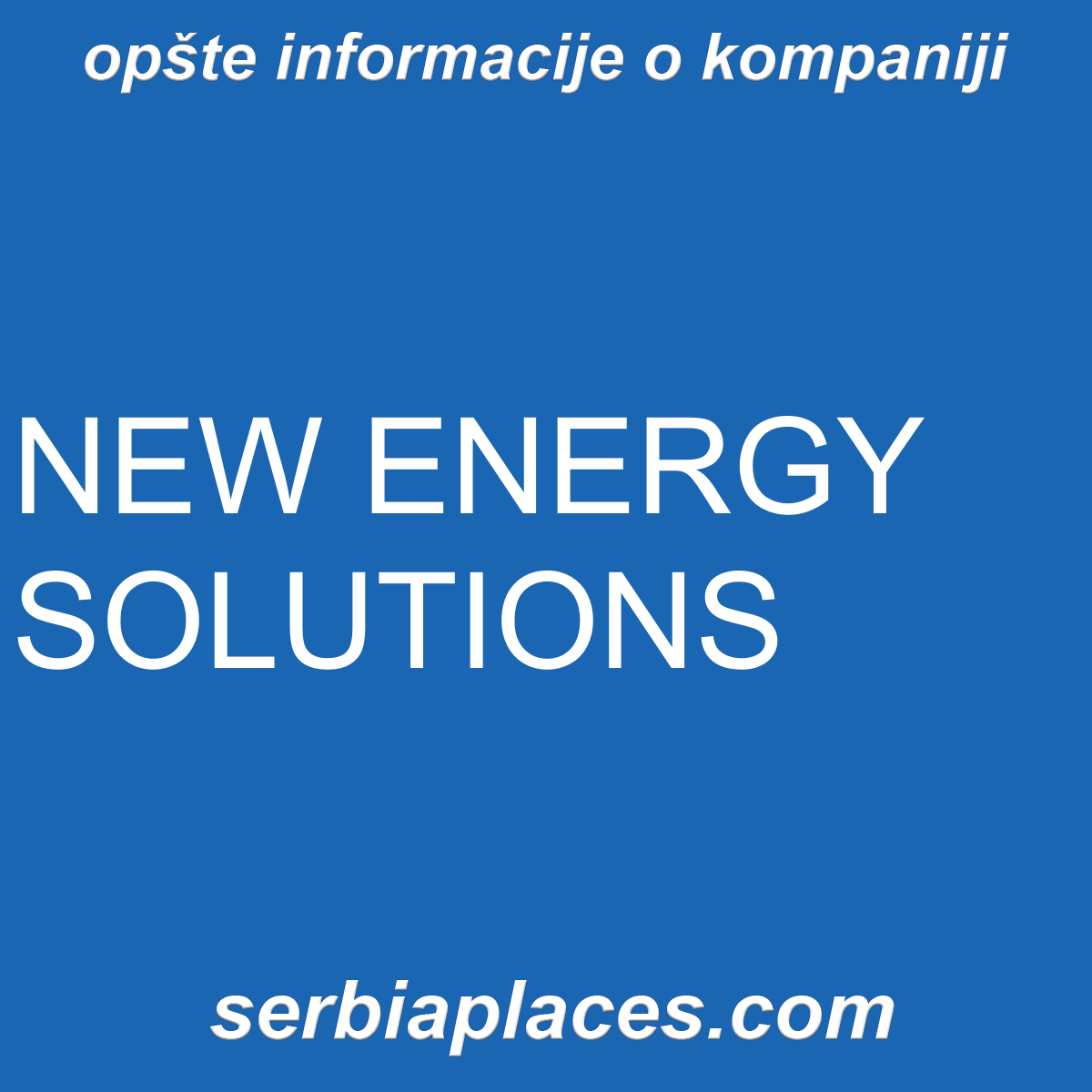 NEW ENERGY SOLUTIONS