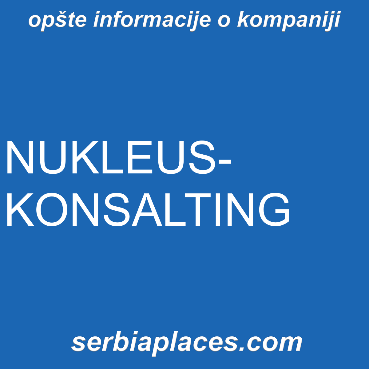 NUKLEUS-KONSALTING