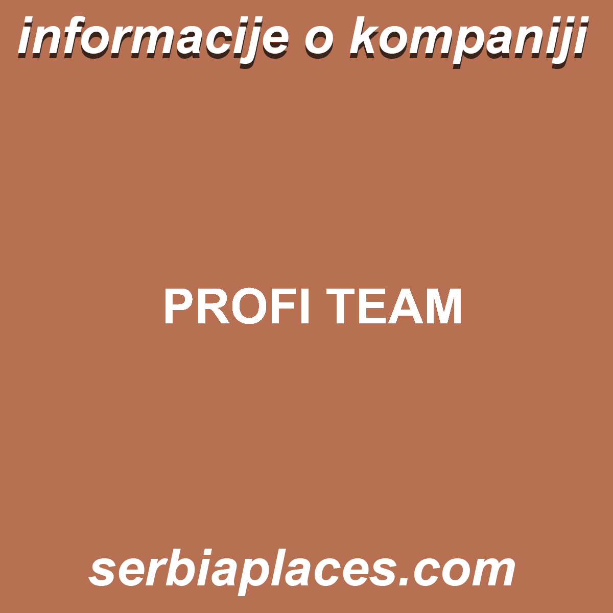 PROFI TEAM