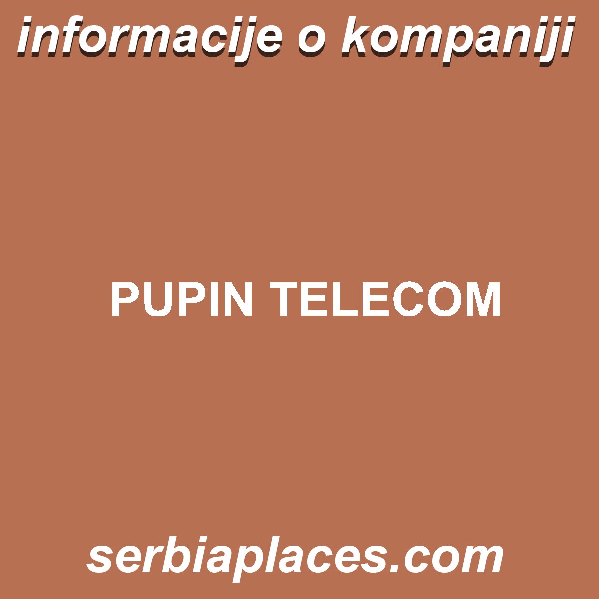 PUPIN TELECOM