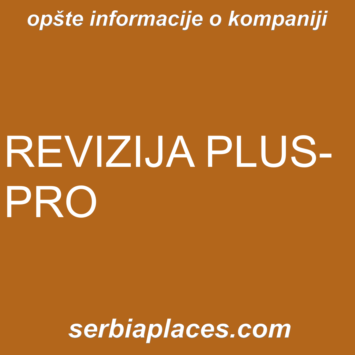REVIZIJA PLUS-PRO