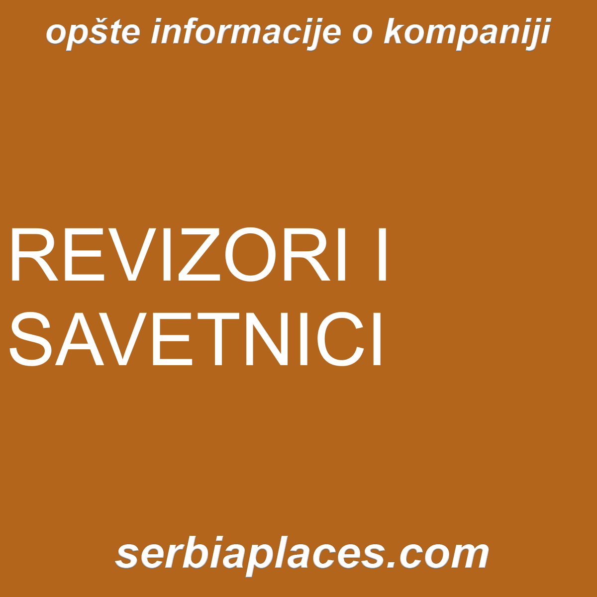 REVIZORI I SAVETNICI