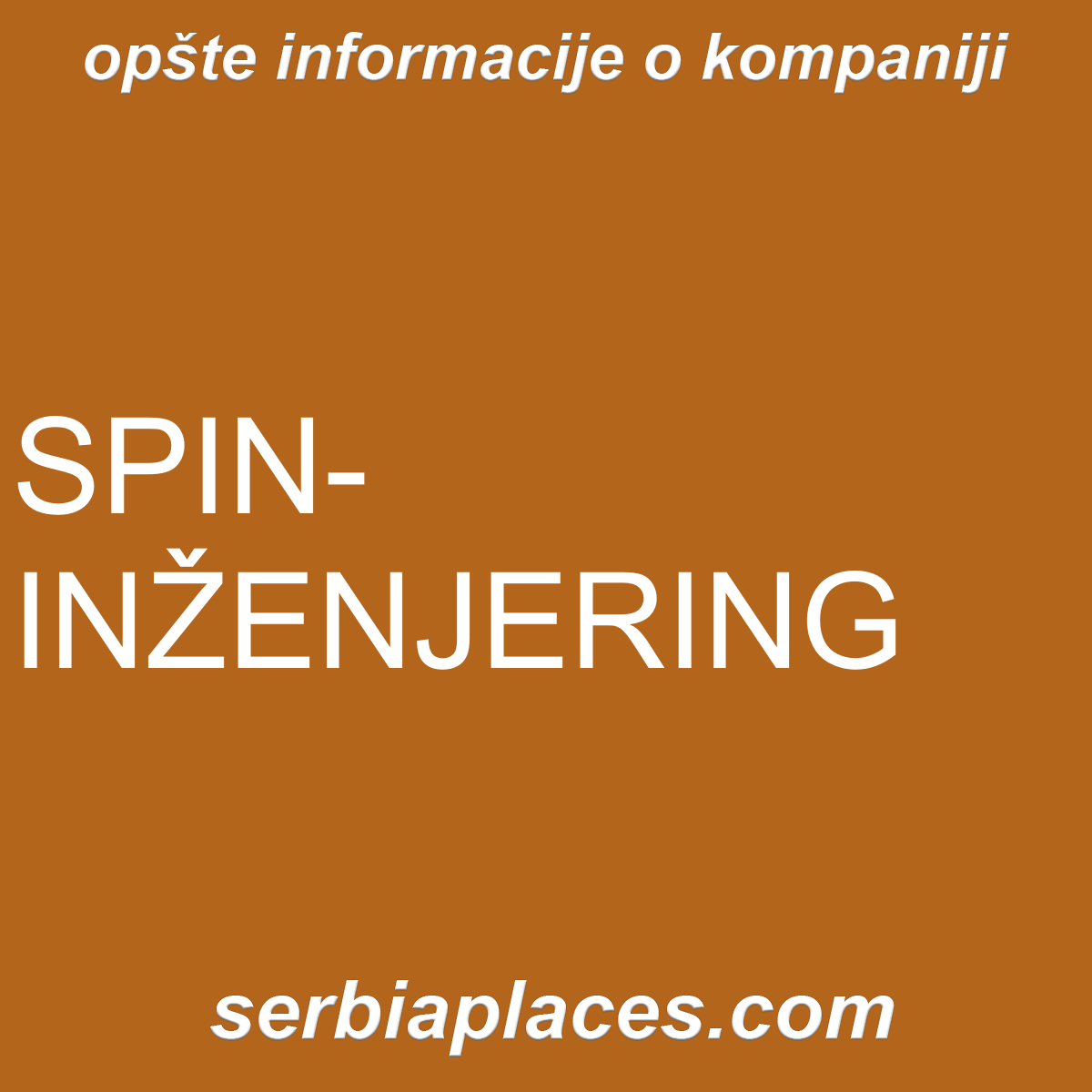 SPIN-INŽENJERING