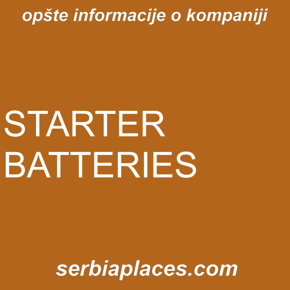 STARTER BATTERIES
