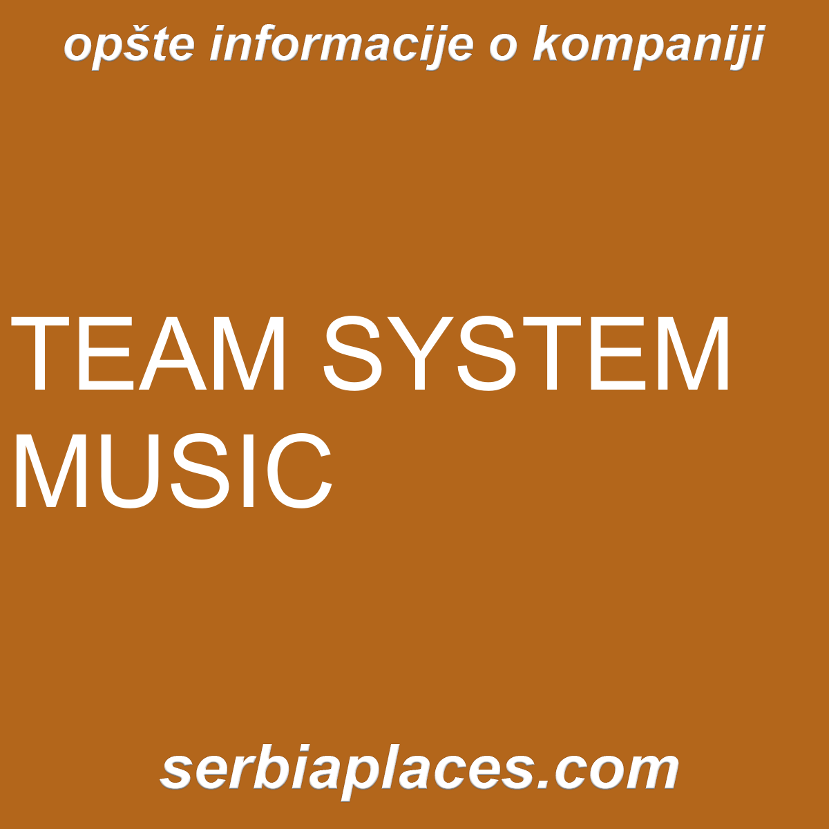 TEAM SYSTEM MUSIC