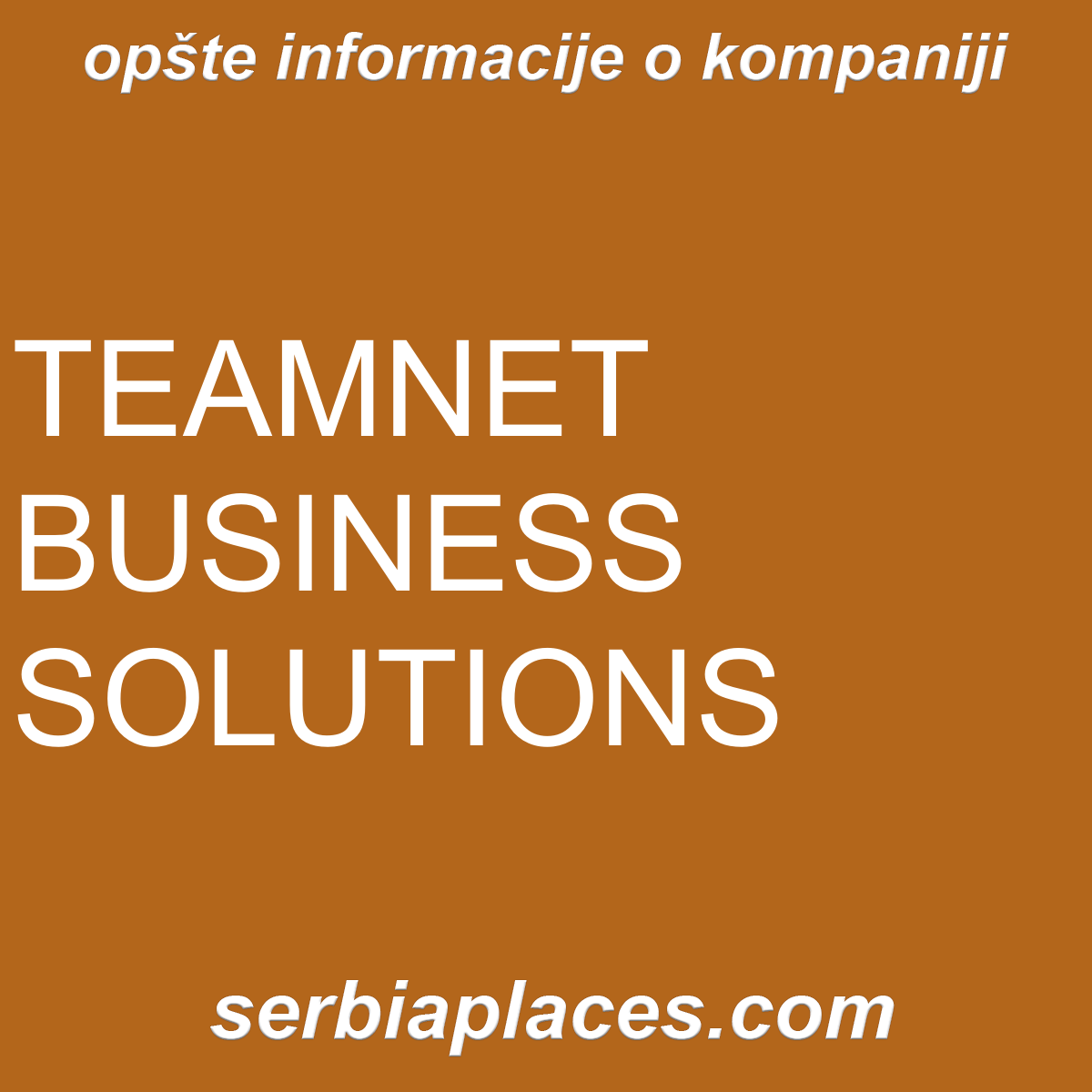 TEAMNET BUSINESS SOLUTIONS
