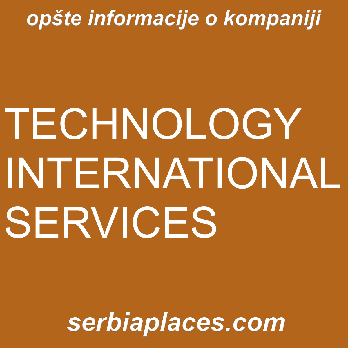 TECHNOLOGY INTERNATIONAL SERVICES