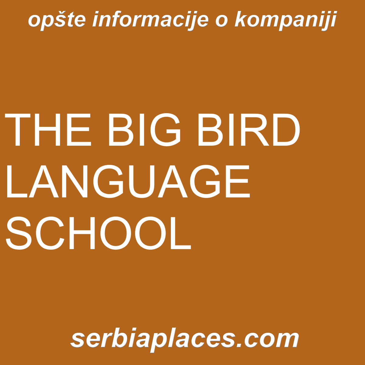 THE BIG BIRD LANGUAGE SCHOOL
