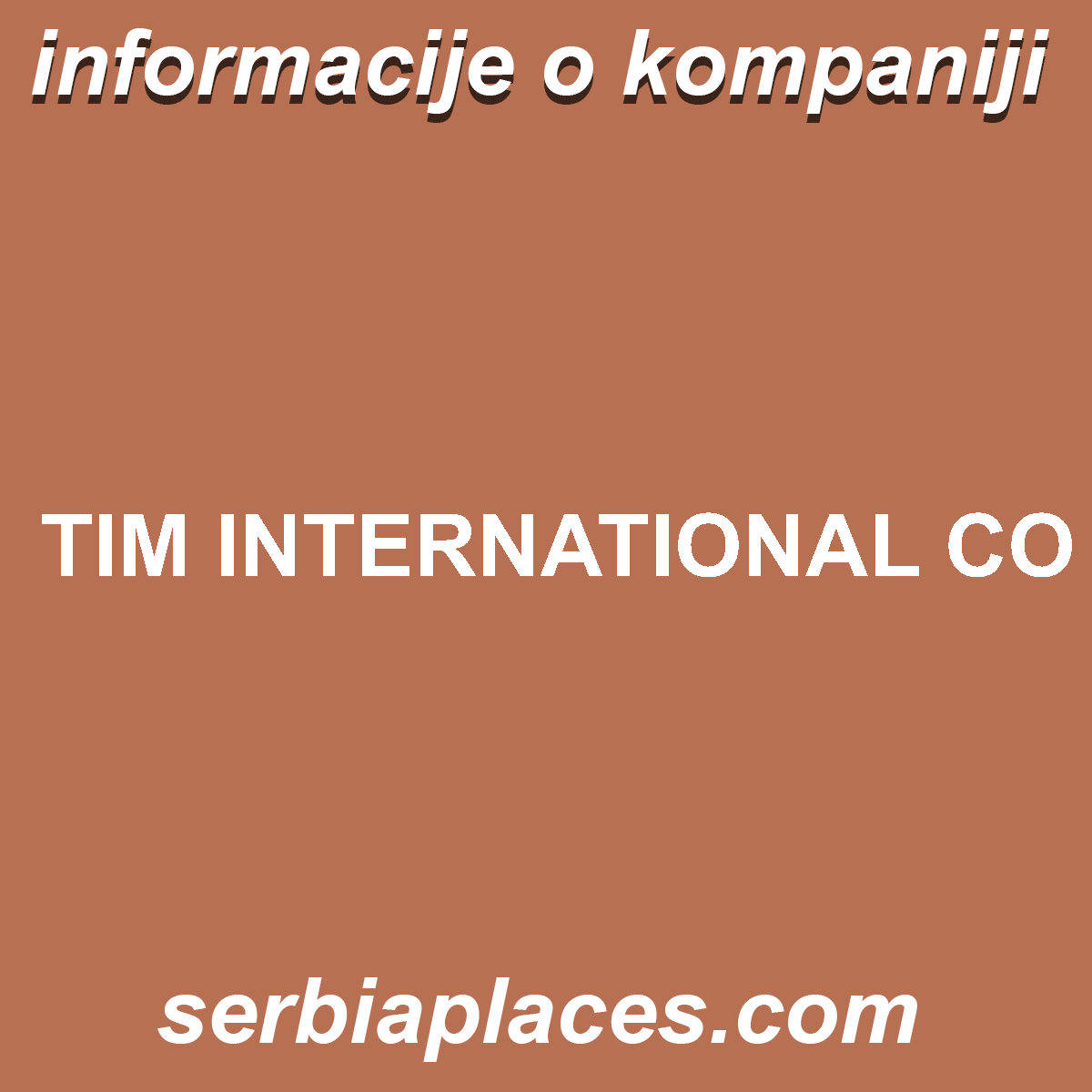 TIM INTERNATIONAL CO