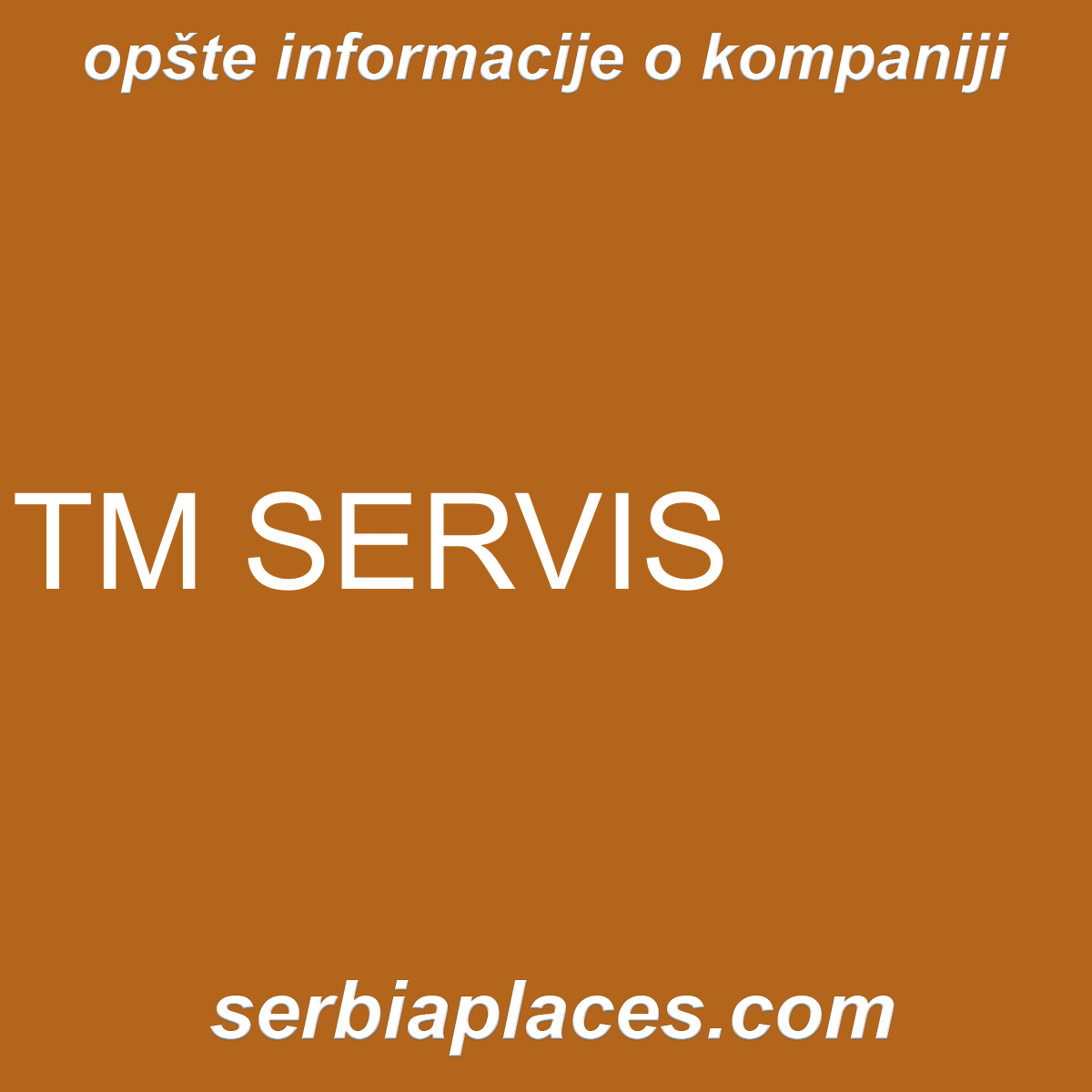 TM SERVIS