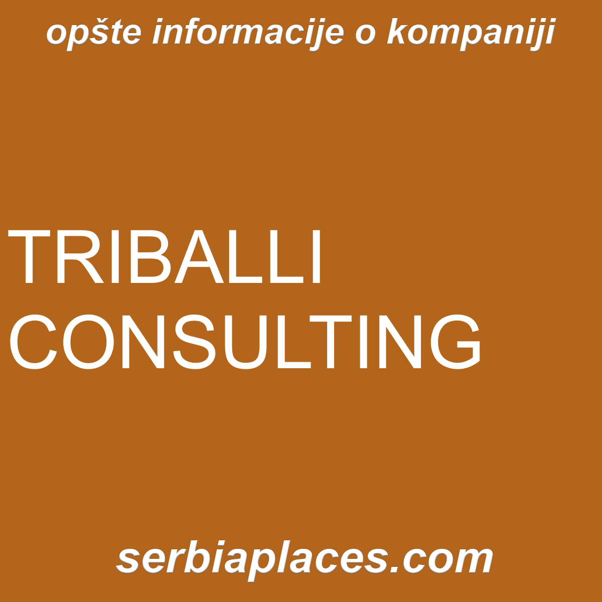 TRIBALLI CONSULTING