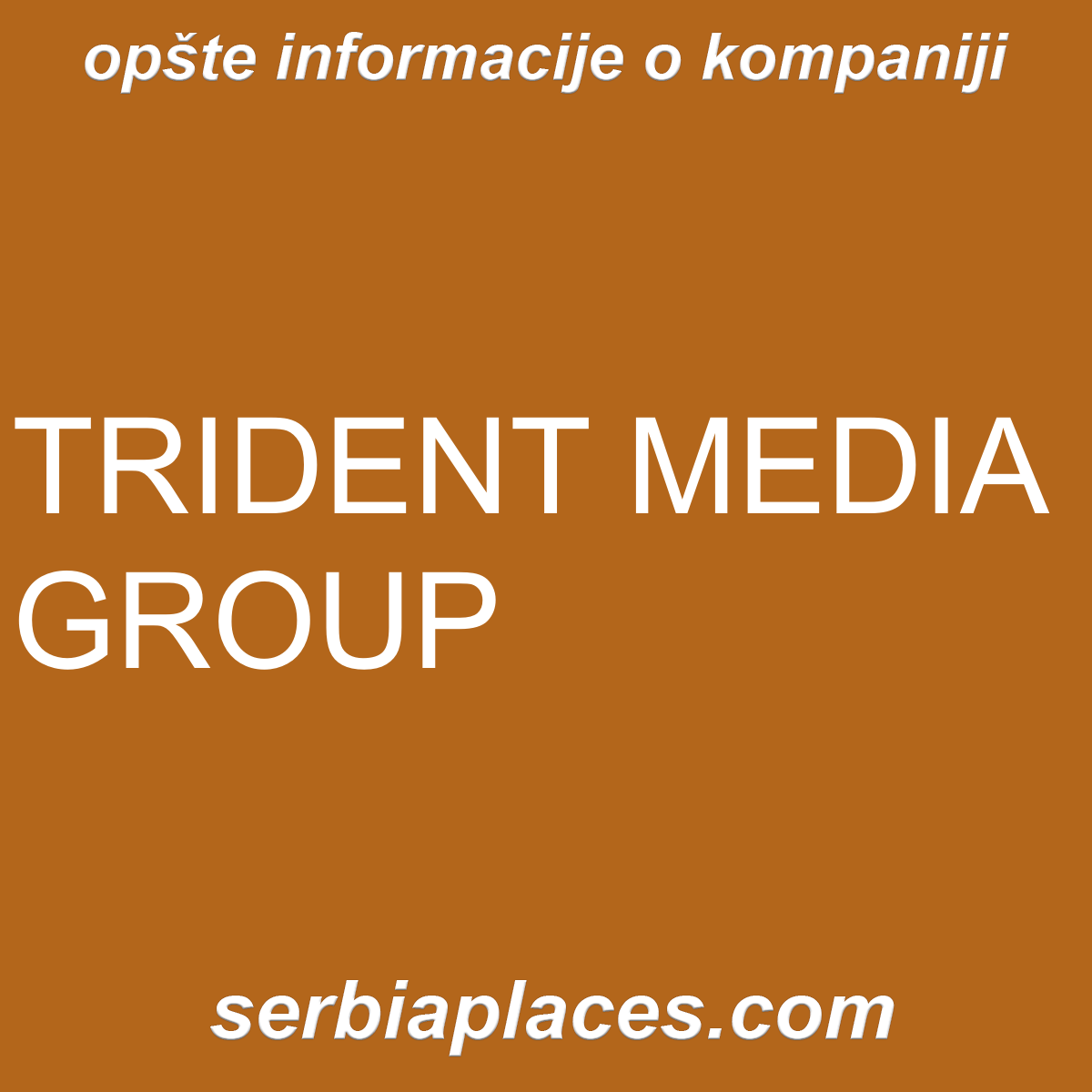 TRIDENT MEDIA GROUP