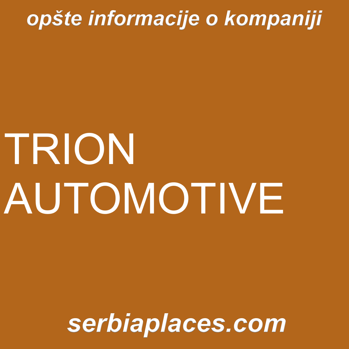 TRION AUTOMOTIVE