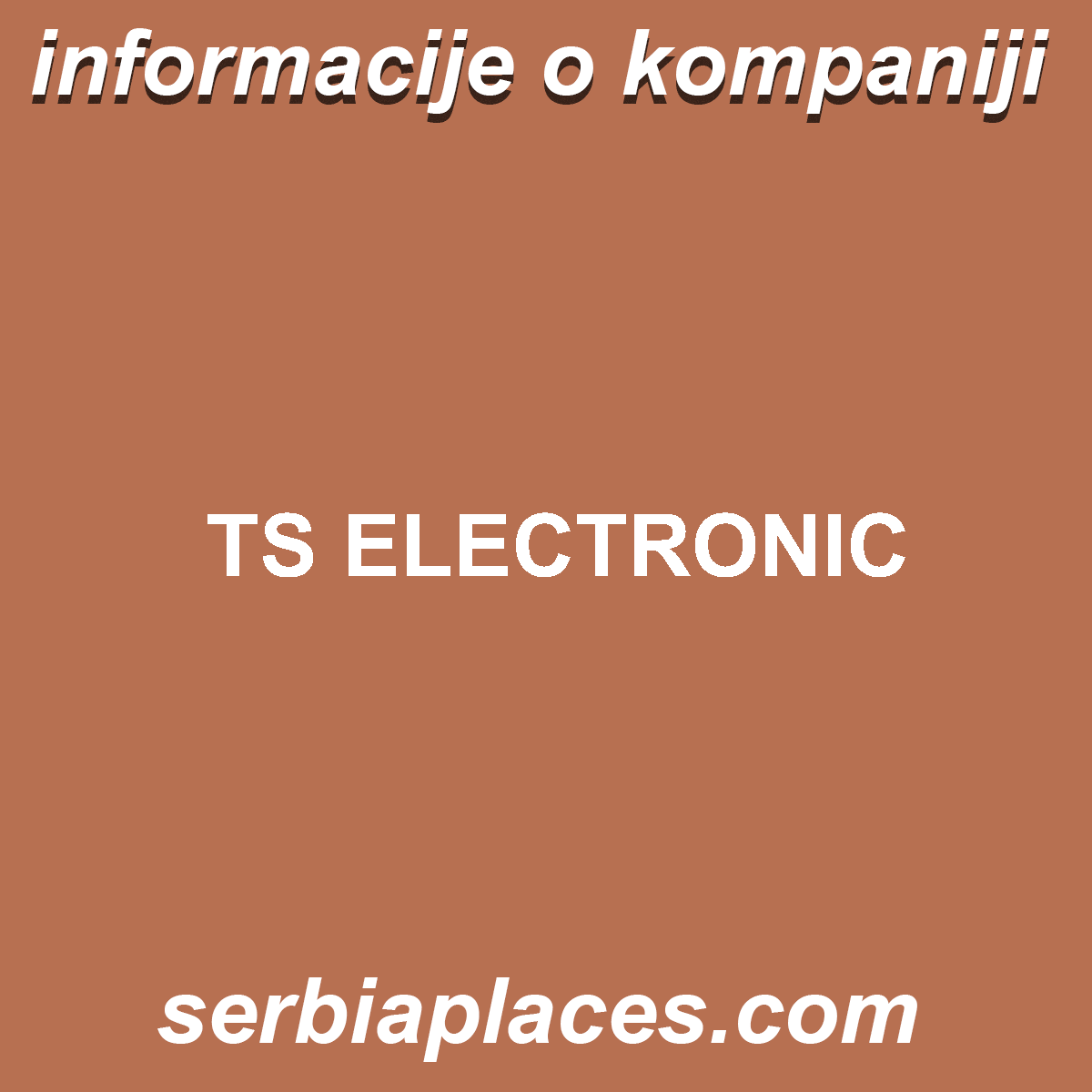 TS ELECTRONIC