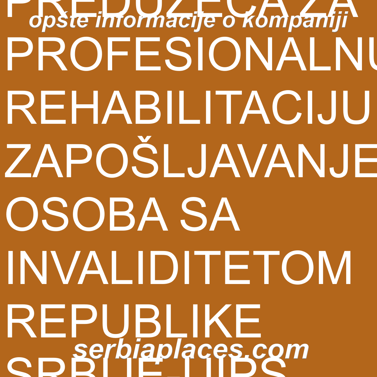 UDRUŽENJE PREDUZEĆA ZA PROFESIONALNU REHABILITACIJU I ZAPOŠLJAVANJE OSOBA SA INVALIDITETOM REPUBLIKE SRBIJE-UIPS