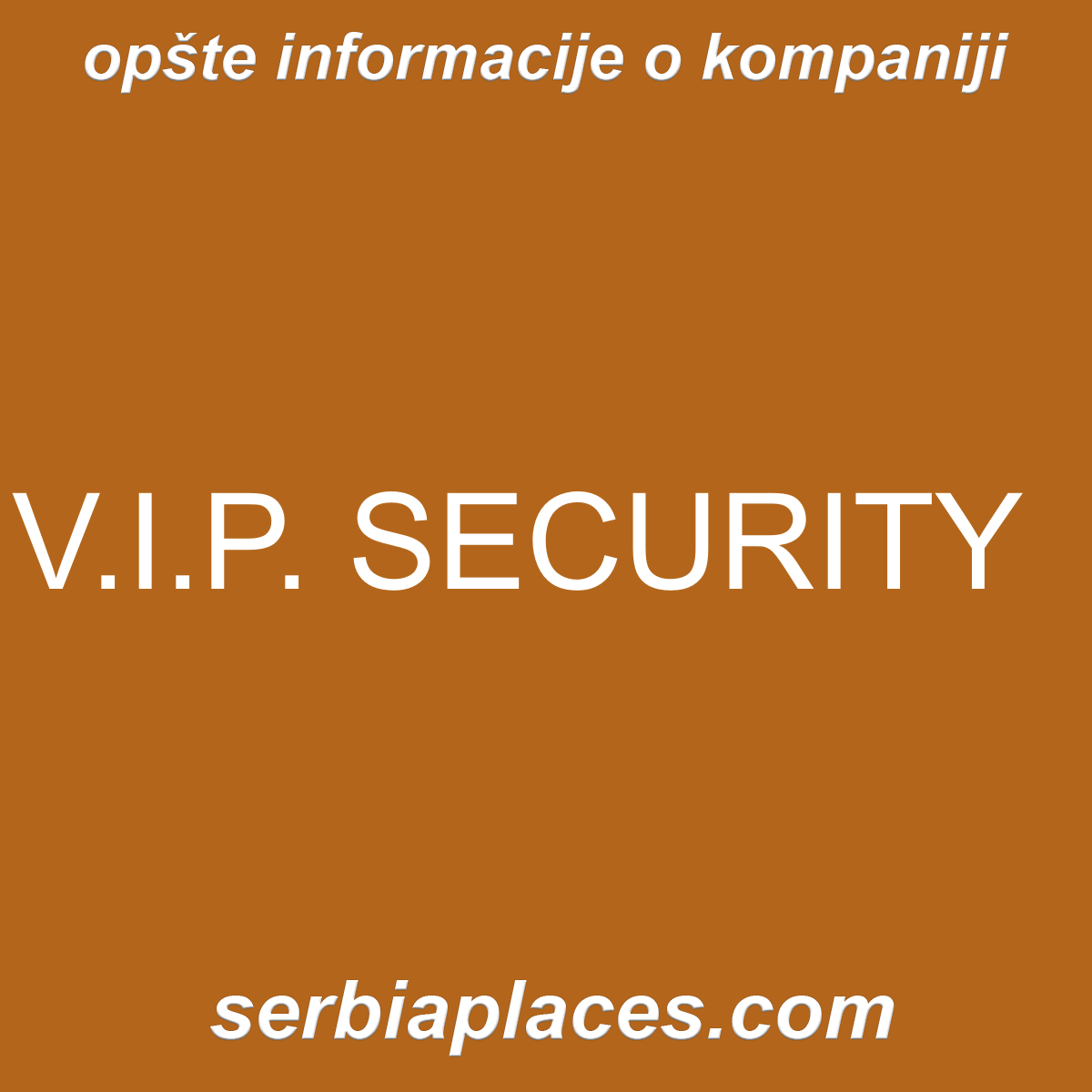 V.I.P. SECURITY