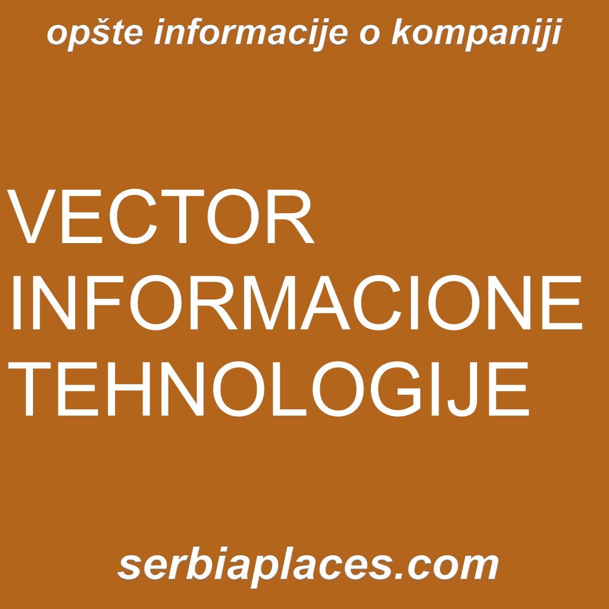 VECTOR INFORMACIONE TEHNOLOGIJE