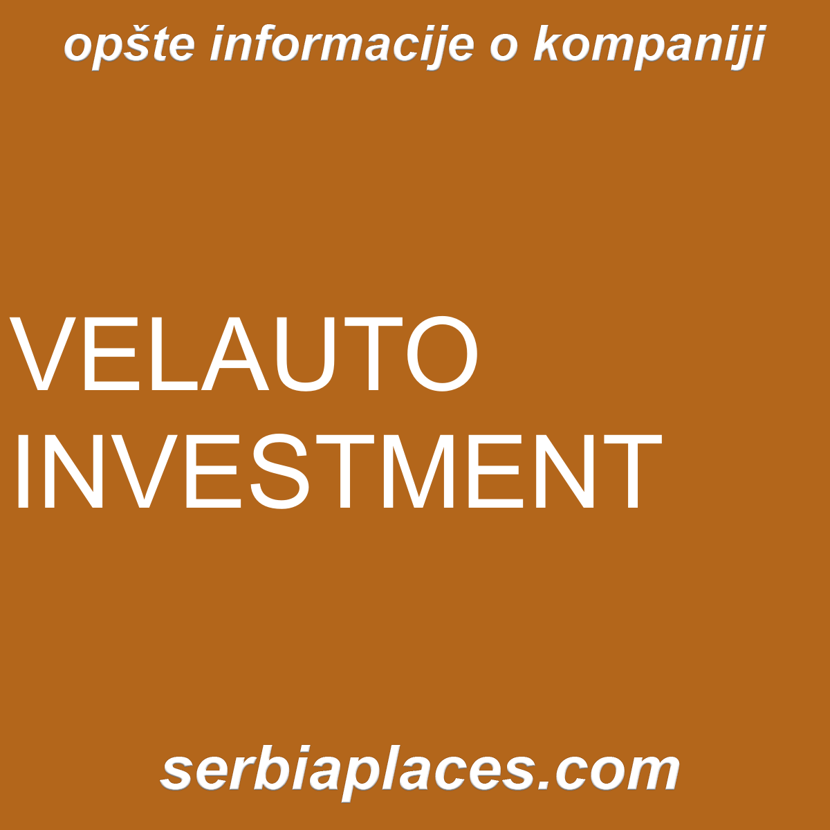 VELAUTO INVESTMENT