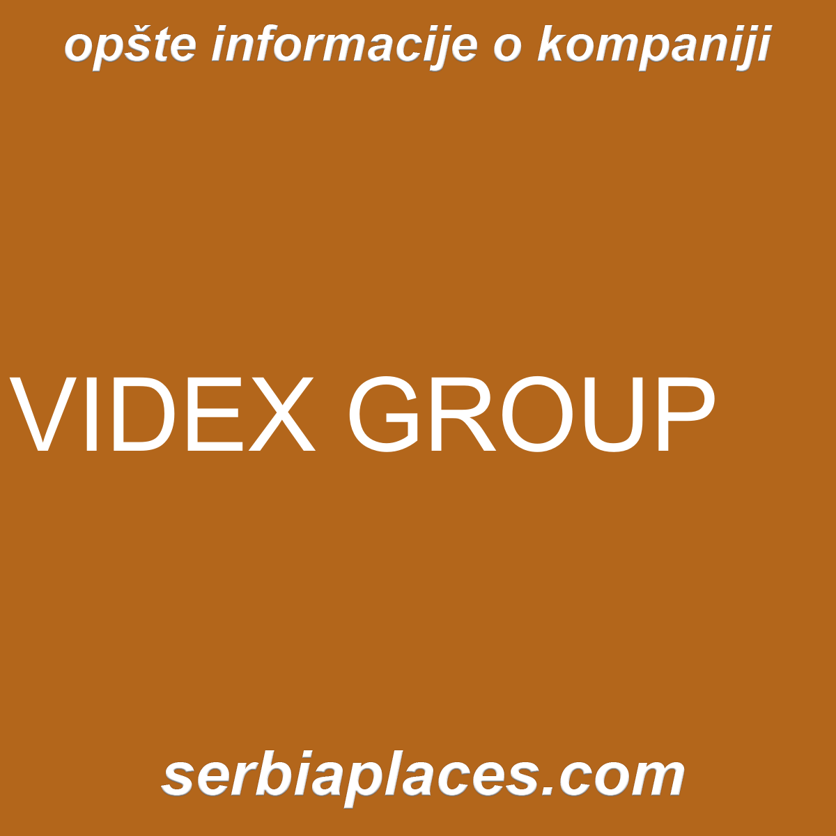VIDEX GROUP