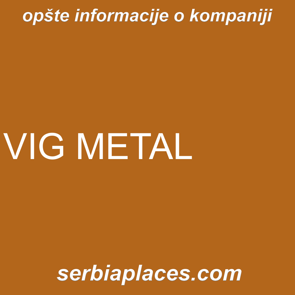 VIG METAL