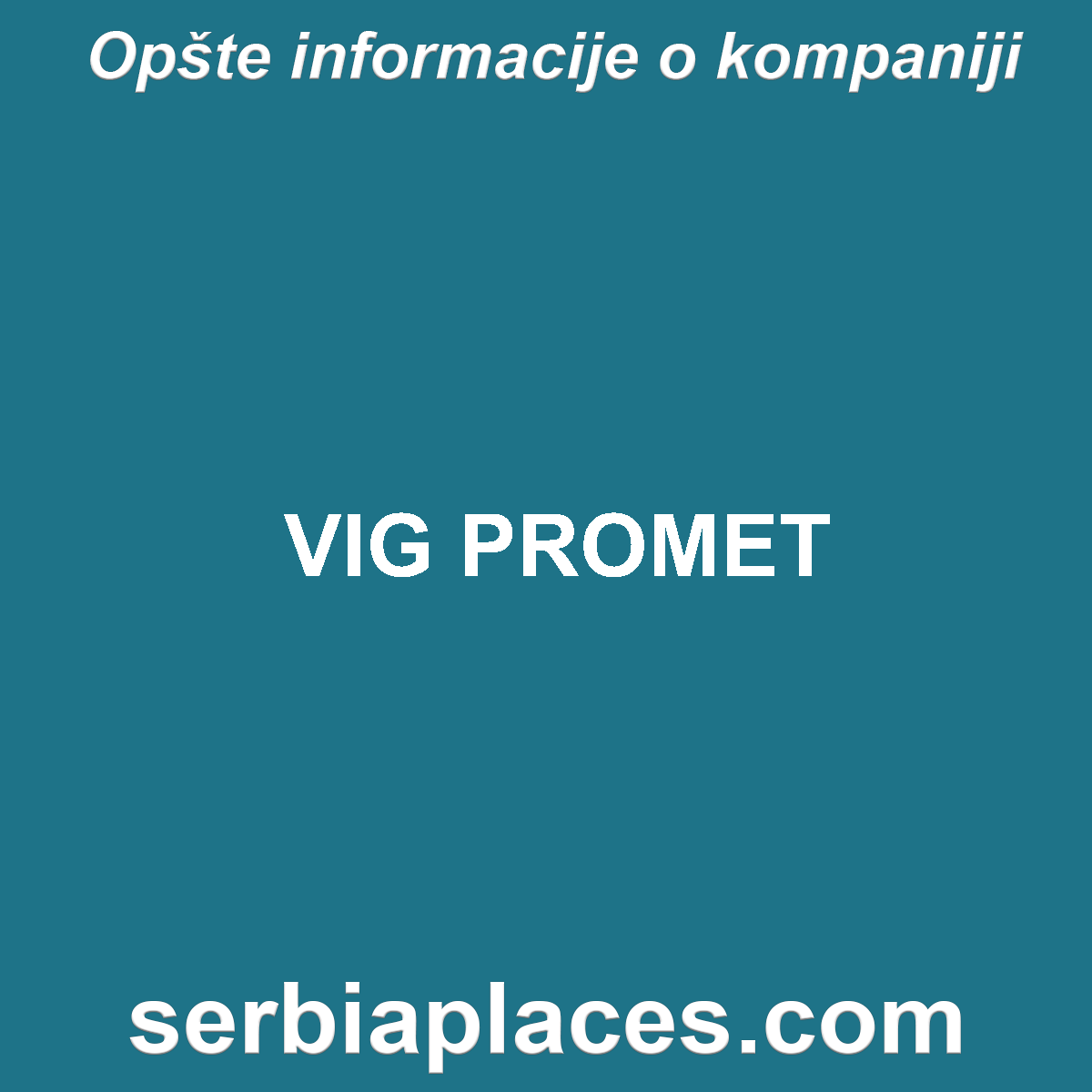 VIG PROMET