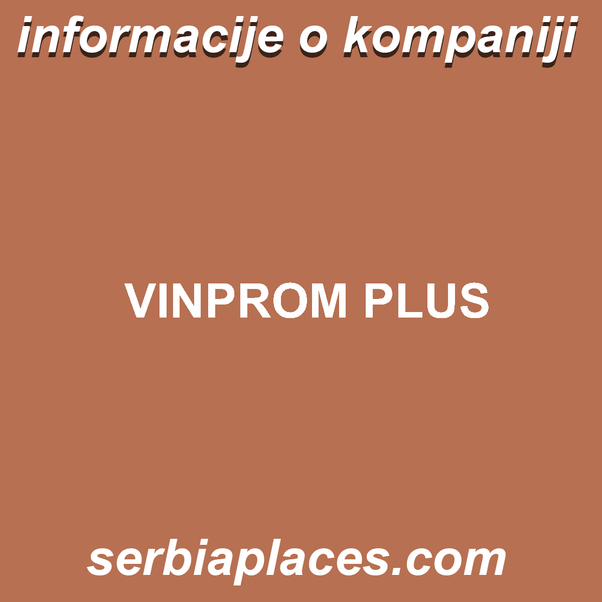 VINPROM PLUS