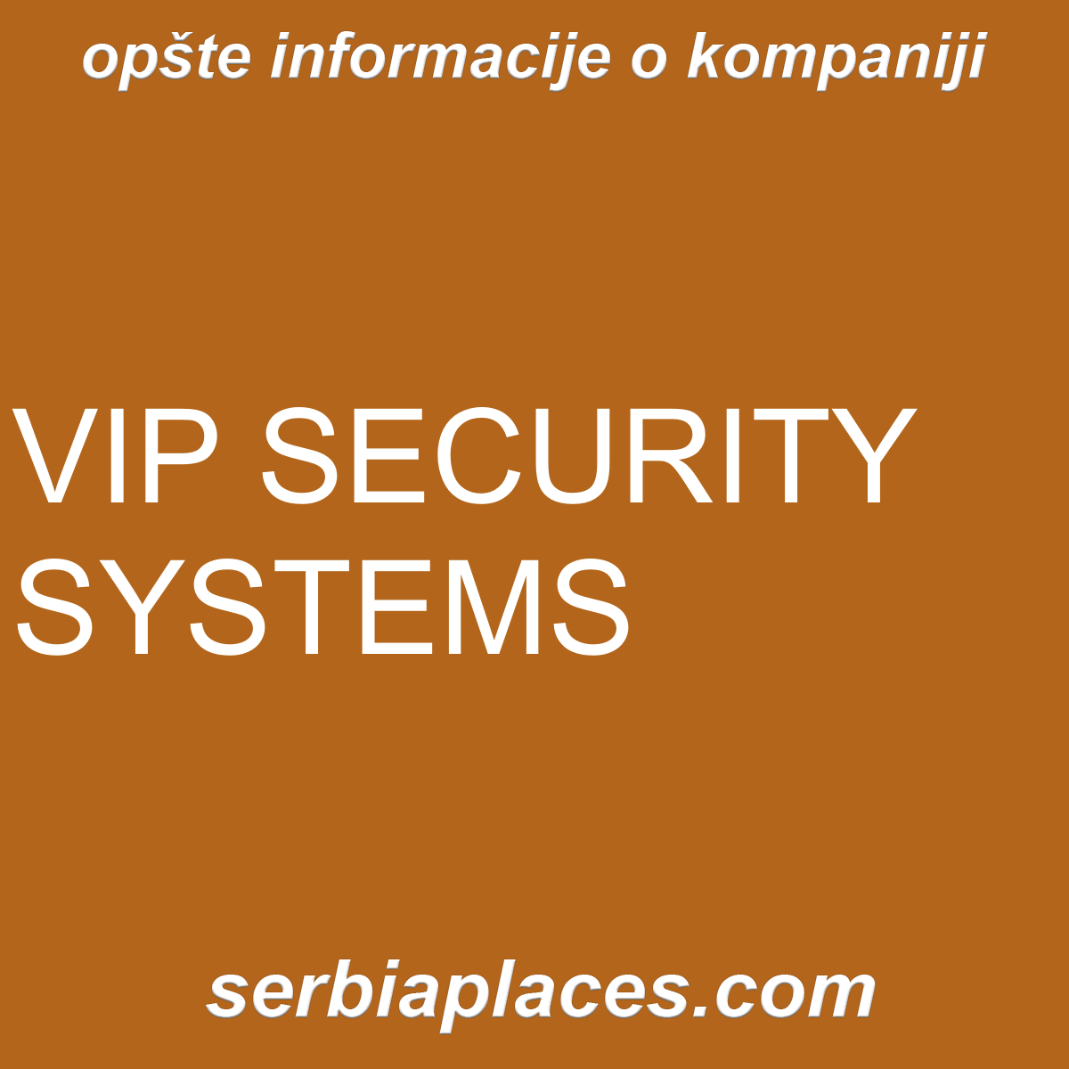 VIP SECURITY SYSTEMS