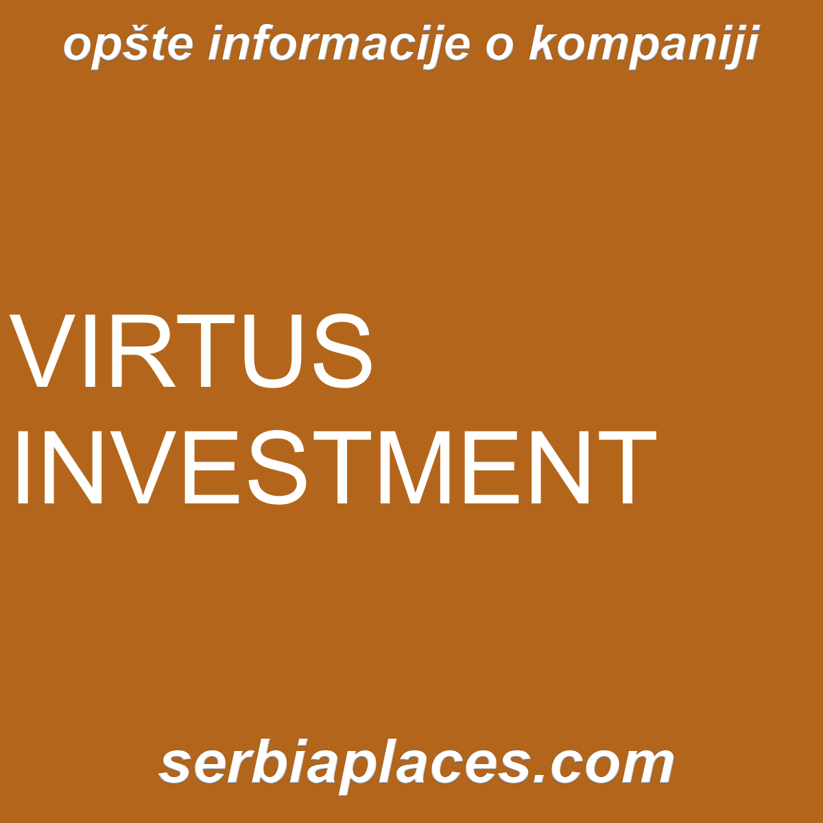 VIRTUS INVESTMENT