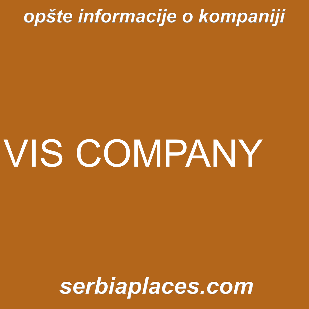 VIS COMPANY