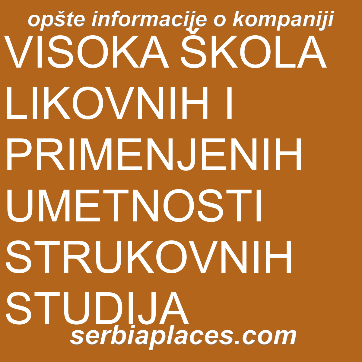 VISOKA ŠKOLA LIKOVNIH I PRIMENJENIH UMETNOSTI STRUKOVNIH STUDIJA