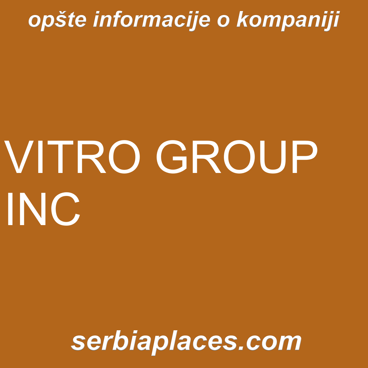 VITRO GROUP INC