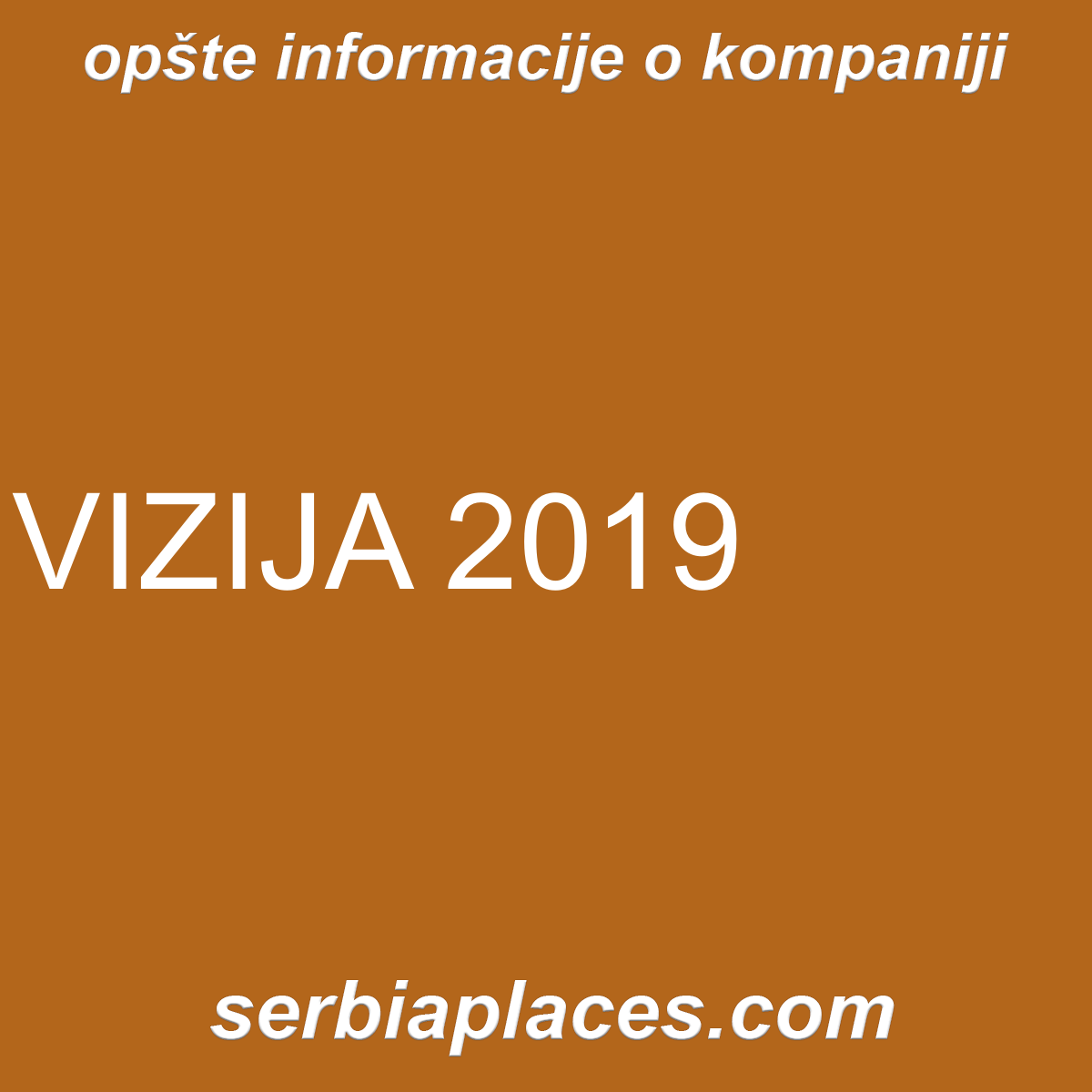 VIZIJA 2019