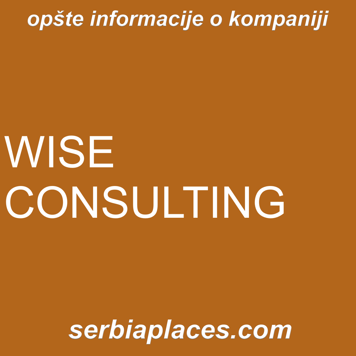 WISE CONSULTING
